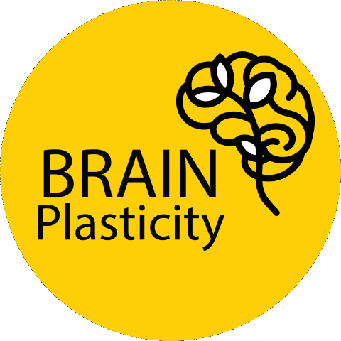 Brain Plasticity Research Group